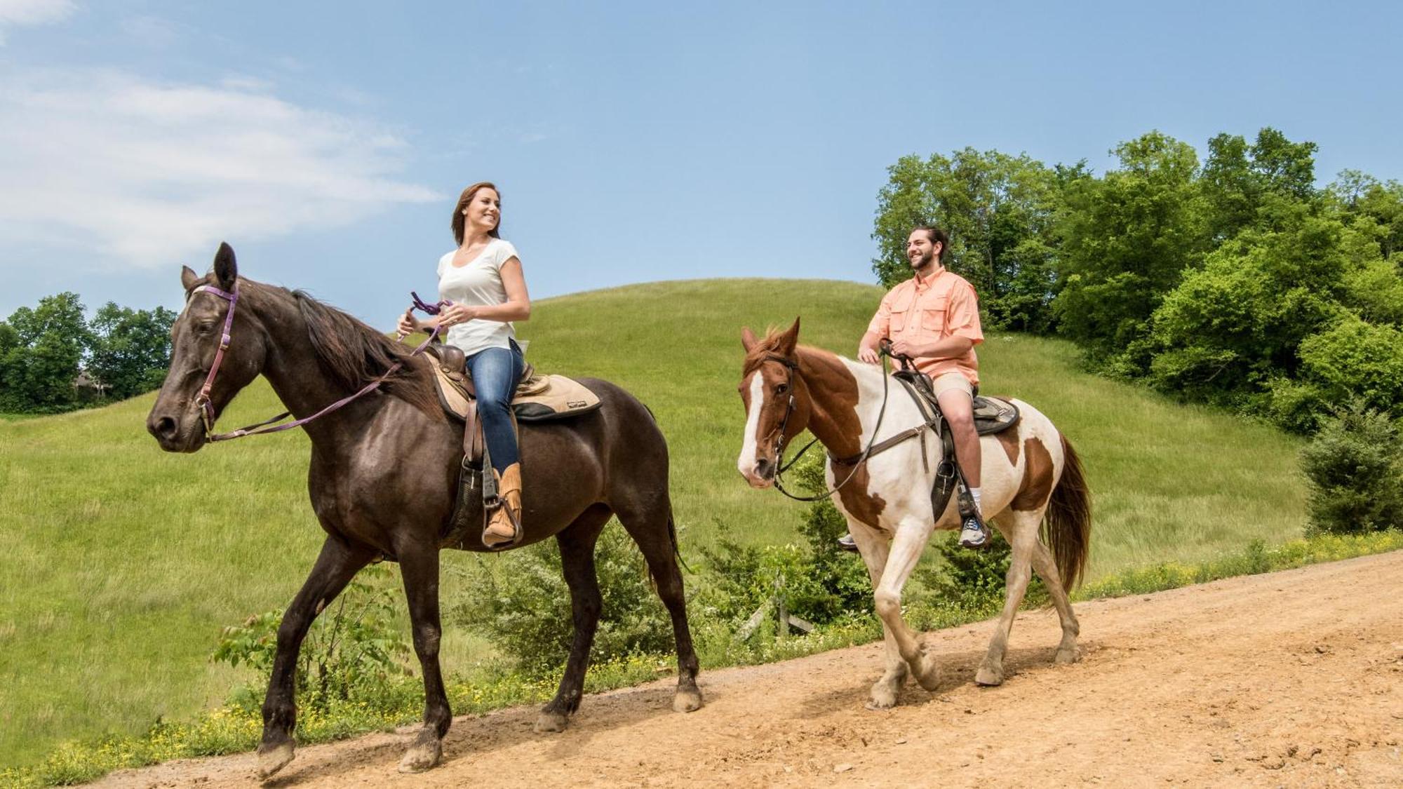 A Walk In The Clouds By Eden Crest Vila Sevierville Exterior foto